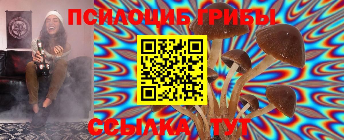 Кемерово  Псилоцибиновые грибы GOLDEN TEACHER  Вход с VPN 